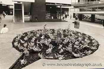 Do you recall 'speech bubble' flower bed in Lord Square?