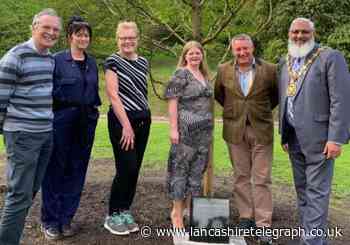 Tree planted in Corporation Park for King Charles Coronation