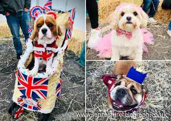 The adorable dogs crowned winners in Blackburn pub's ‘Royal Dog Show’
