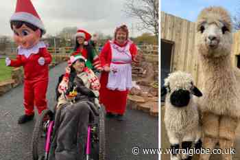 Nanny Sharon's alpaca farm receive £5,000 donation from Gallagher