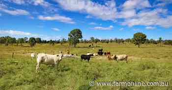 Country for 500 breeders with backgrounding ability | Video