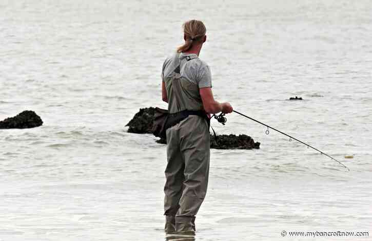 Free fishing returns to Ontario this weekend 