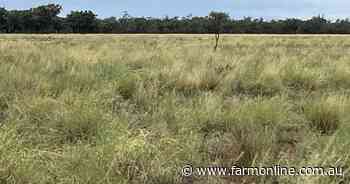 Reliable Rosevale remains on the market