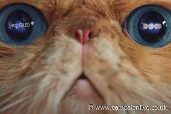 Samsung and DCM add feline 'Wow' to 2023's movie blockbusters