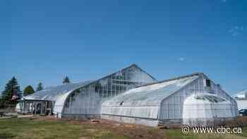 Thunder Bay City Council approves funding for conservatory overhaul