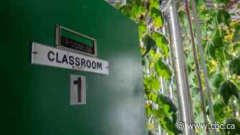 Family turns small-town Sask. school into indoor farm ​— and runs a drive-thru for veggies