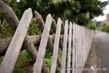 Tatort Gartenzaun: Dieses Duo hilft bei Nachbarschaftsstreits weiter