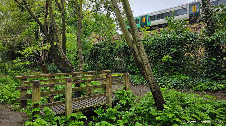 London’s Pocket Parks: Kirkwood Nature Reserve, SE15