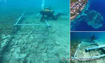 Stone Age road is uncovered underwater off Croatian island after 7,000 years