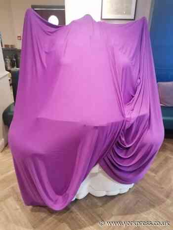 Make it York unveils Snooks as part of City of Trails promotion