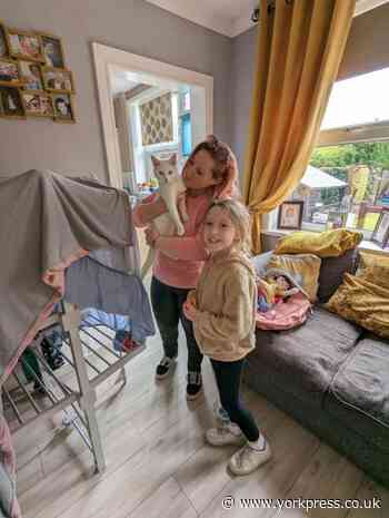 RSPCA reveal rescue of Frosty from roof of house in Burton Stone Lane