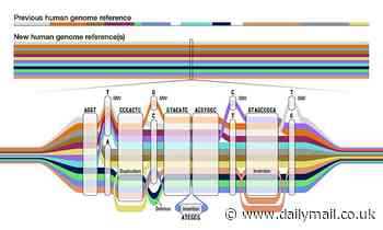 World's first human PANGENOME is released: Enormous genetic database combines genomes of 47 people