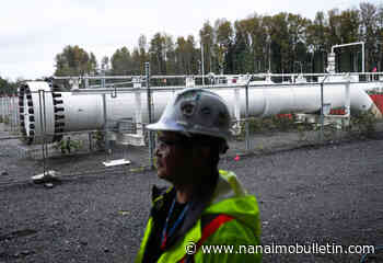 Portion of Coastal GasLink construction paused over erosion, sediment control issues