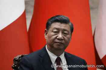 Head of ‘non-political’ B.C. group meets China’s Xi Jinping at gathering of ‘fresh troops’