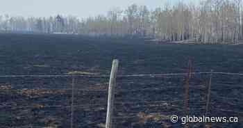Alberta wildfires: Evacuation order lifted for Evansburg, areas around Wildwood