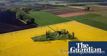 Protests, a parade and a pampered pooch: Tuesday’s best photos