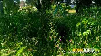 LETTORI - Torresina 2: trova l'altalena livello avanzato