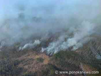 Municipalities asked UCP to keep aerial wildfire fighters