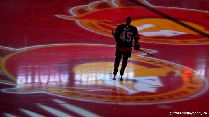 Celebrity bidding war for Ottawa Senators could be a boon for the franchise: experts