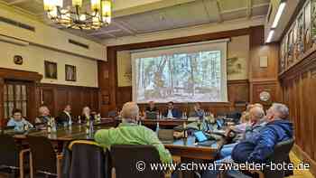 Wald im Klimawandel: Bad Wildbad hat derzeit noch Glück