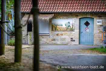 Neue Fragen nach öffentlichem WC am Obersee in Bielefeld