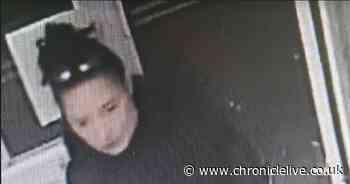 CCTV appeal after car stolen from outside Newcastle pizza shop