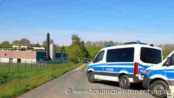 Polizei erklärt, was jetzt mit den 4500 Hanfpflanzen passiert