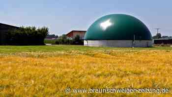 Gasheizung ab 2024: Heizen mit Biogas – wer kann es nutzen?