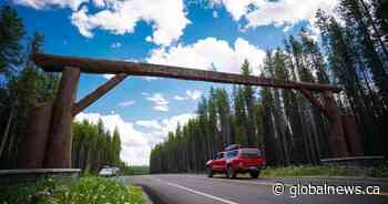 Homicide probe underway after human remains found near Banff National Park