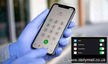 This is how to 'spring clean' your iPhone: Hack lets you delete multiple contacts at once 