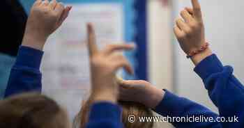 Gateshead residents urged to have their say on special educational needs services