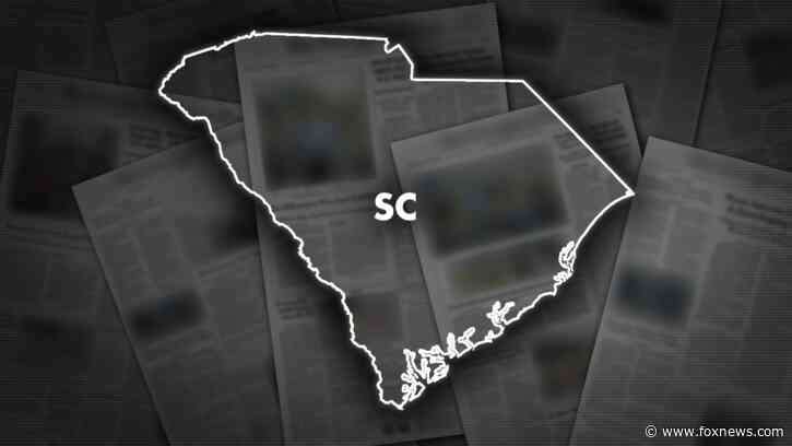 South Carolina deputies kill man in traffic stop shootout