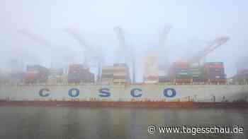 Cosco steigt bei Hamburger Hafenterminal ein