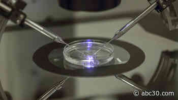 1st babies born in UK using DNA from 3 people