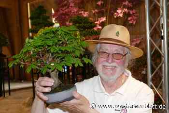 Bonsais ziehen in der Blumenhalle der Landesgartenschau in Höxter Blicke auf sich