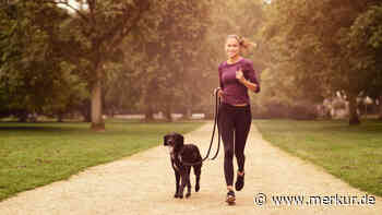 Kardiologe ist selbst anfällig für Herzkrankheiten: Was er dagegen unternimmt