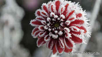 Frost-Einbruch an den Eisheiligen – Prognose rechnet mit Wetter-Wende zum Muttertag