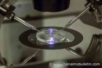 1st babies born in Britain using DNA from 3 people