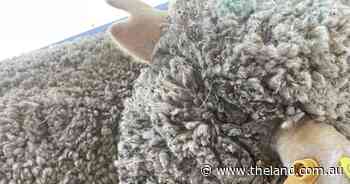 Producers want government to answer their eID questions