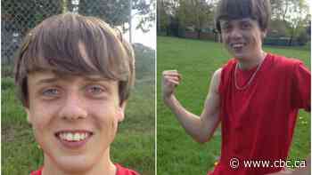 Ontario bill named for late Napanee teen seeks to anchor movable soccer nets