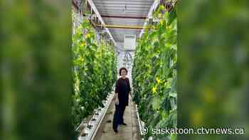 Sask. family builds hydroponic farm in former school building