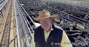 Quality dictates heifer market moving forward