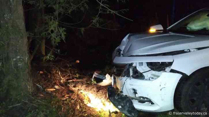 Man crashes car after avoiding deer on Dewdney Trunk Rd.