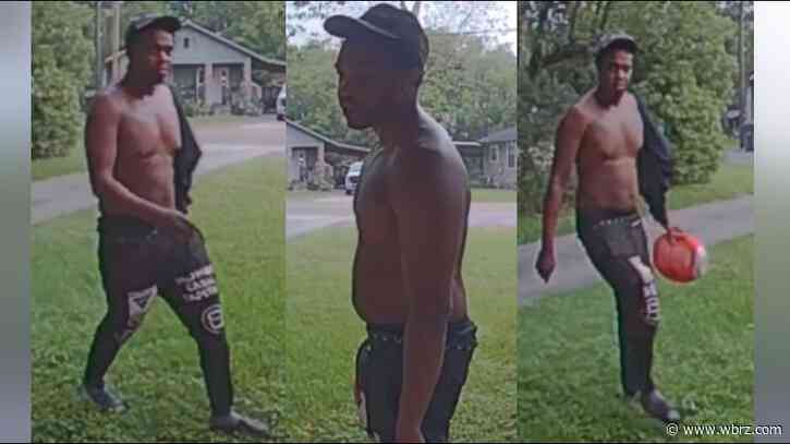 Police looking for burglar who stole guns in string of Garden District thefts