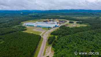 Good times for northern Ontario's forest industry, but a new mill wants to avoid the 'boom-bust cycle'
