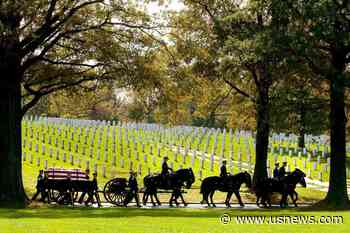 After Arlington National Cemetery Horse Deaths, Army Makes Changes to Improve Their Care
