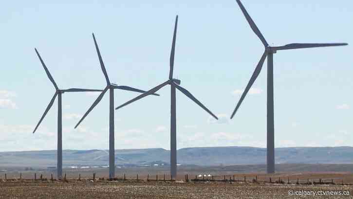 Wind turbines lead to decline in bat population