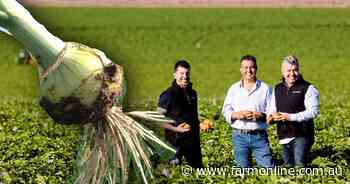 Canadians swoop again to buy South Australian onion empire