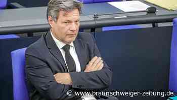 Trauzeugen-Affäre: Warum Habeck sein großes Projekt riskiert