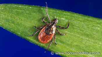 This Year's Tick Season is Expected to be One of the Busiest in Recent Years